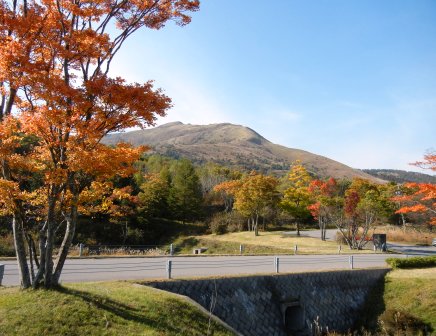 車山ではまだですが、昨日、富士見高原の方でフキノトウ・カンゾウが芽吹いていました。その後、茅野市の上原城祉を散策していましたら、そこでも沢山みられました。