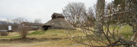立場川から東へ二つ目の母沢から、東の鹿ノ沢までのおよそ２.5㎞の範囲で、井戸尻・曽利・藤内・九兵衛尾根・居平・唐渡宮・向原など、名だたる遺跡が集中し、「井戸尻遺跡群」を総称しています。名の由来となった井戸尻遺跡は、ＪＲ信濃境駅から約１.2㎞ほど南に下ったところにあります。